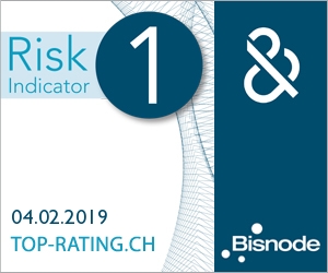 Bisnode D&B Risk Indicator 1 - Computer Controls 2019